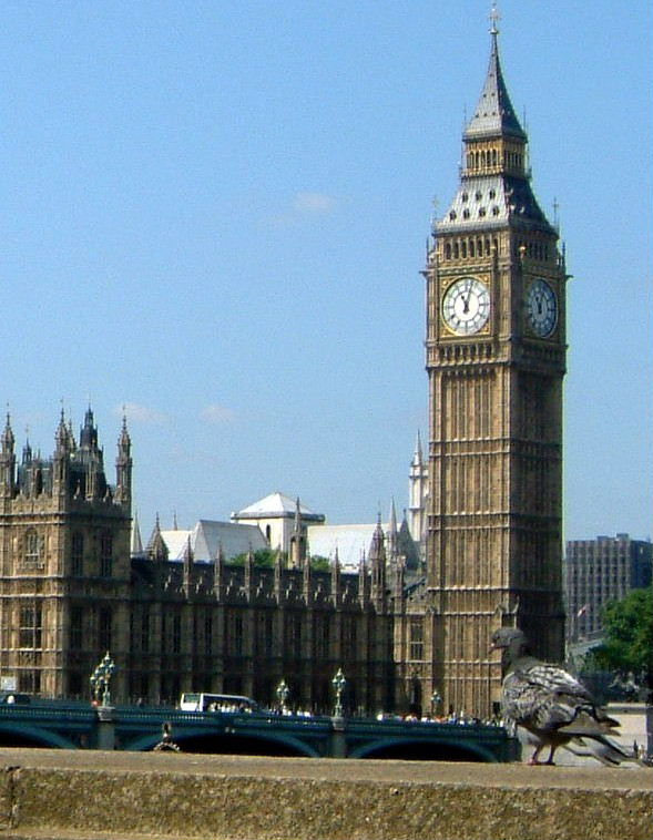Pigeon at Parliament
