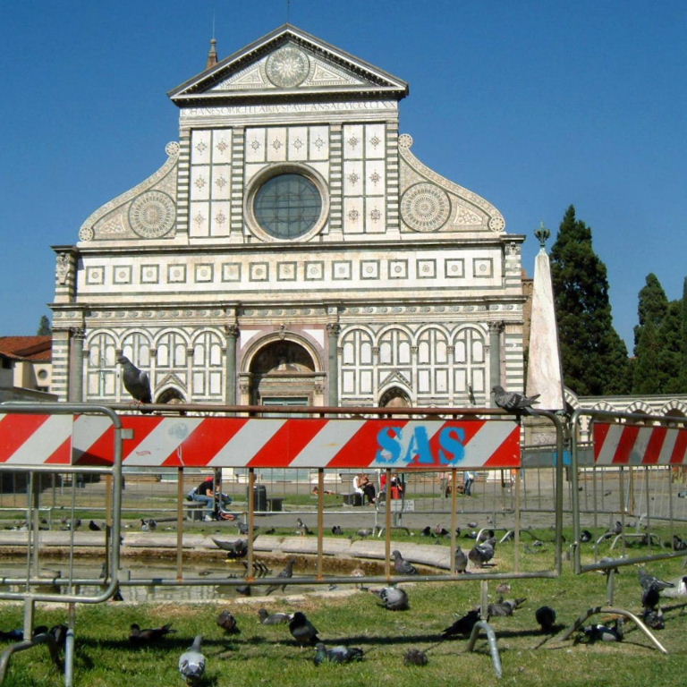 Pigeons in Florence