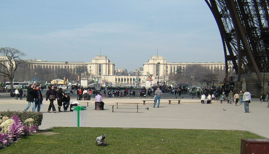 Pigeons in Paris