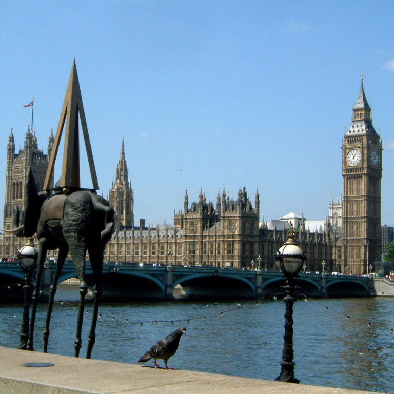 Pigeon at Parliament