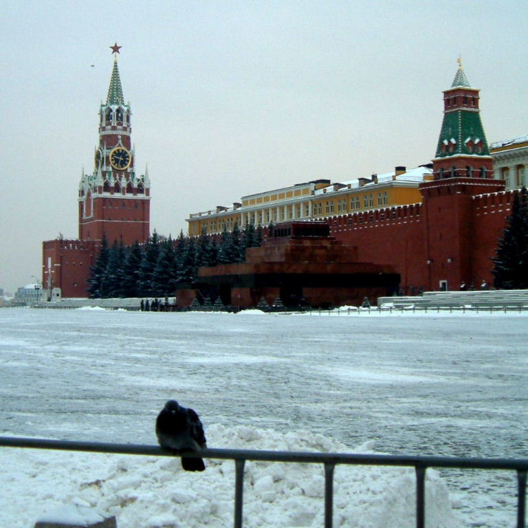 Pigeons in Red square