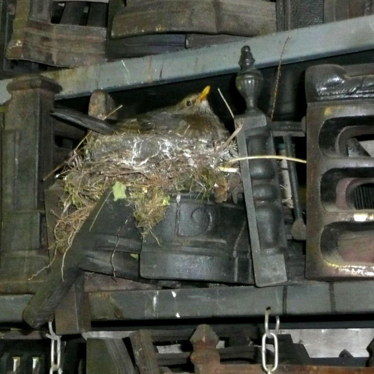 A great place to nest