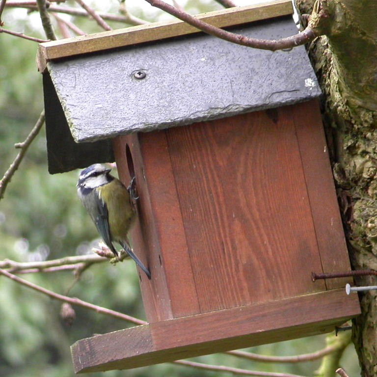 Bird house