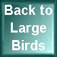 Back large
