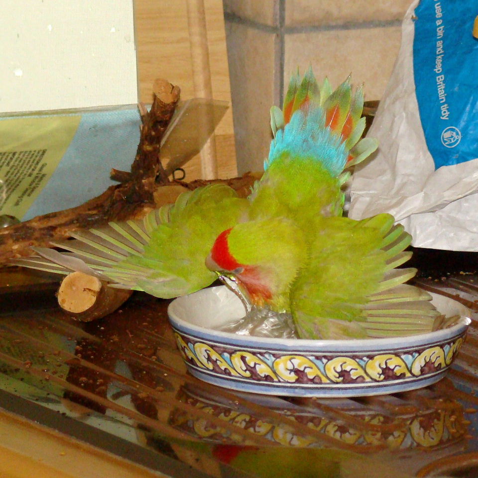 Bath time