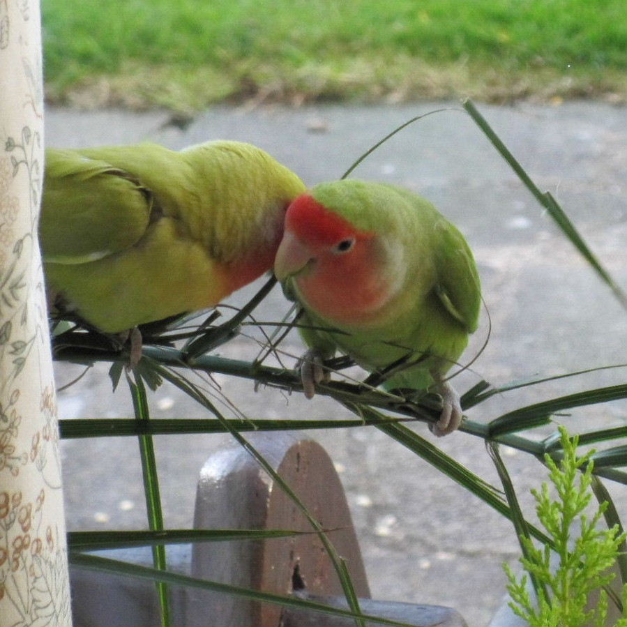 Do you want to know a secret?