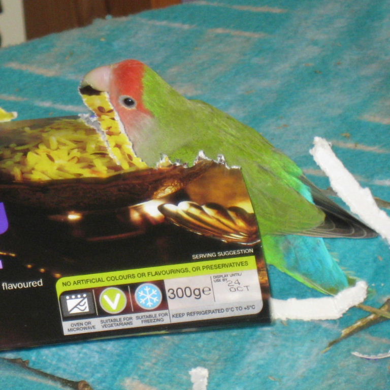 Origami
