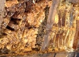 Honeycomb