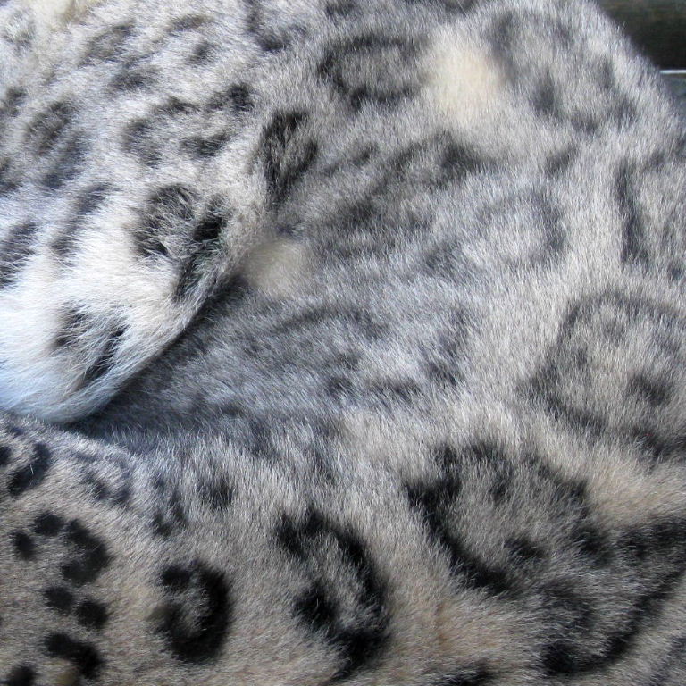 Snow Leopard spots