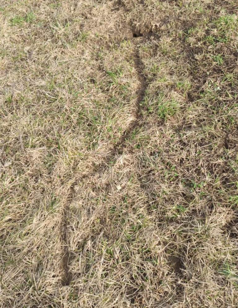 Zaisan Mole Vole tunnel