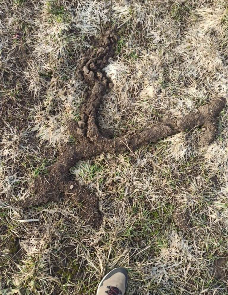 Zaisan Mole Vole burrow system