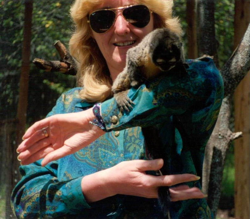 Black-headed Night Monkey