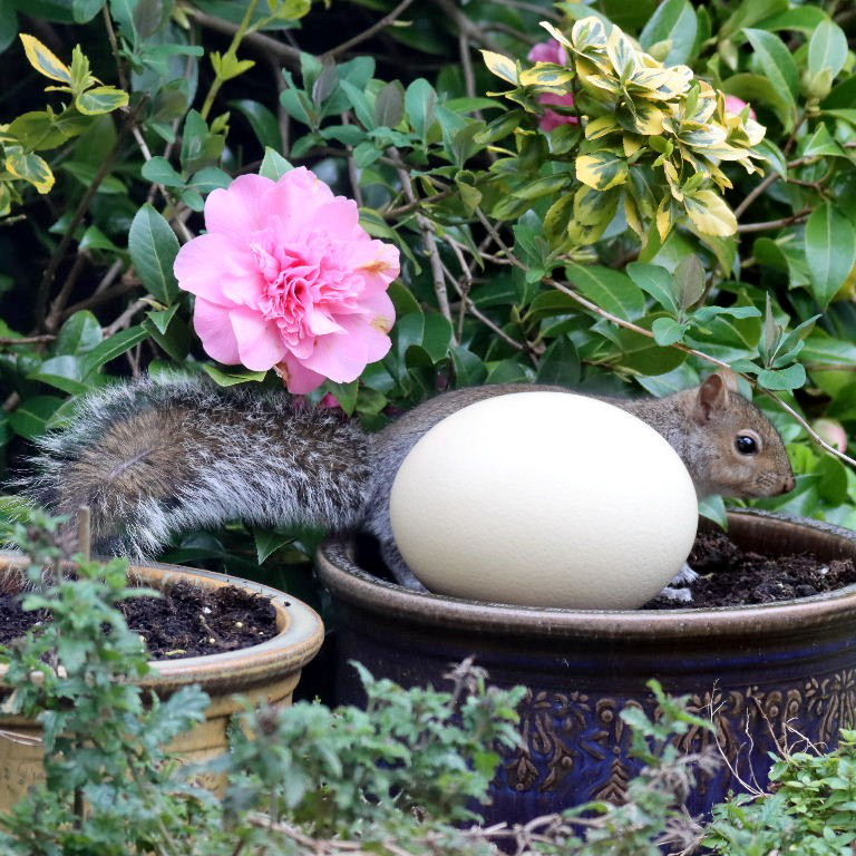 Do I look fat in this?