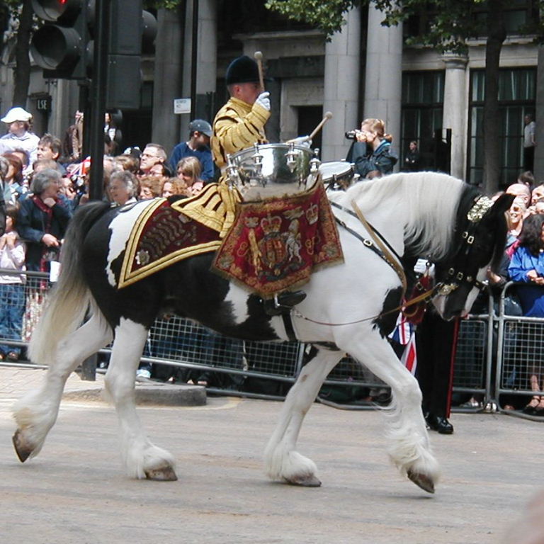 Drum Horse