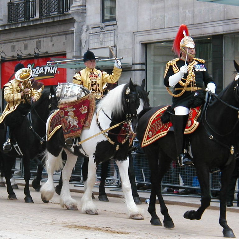 Drum Horse