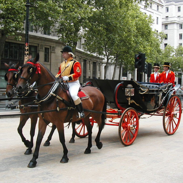 Horse drawn carriage