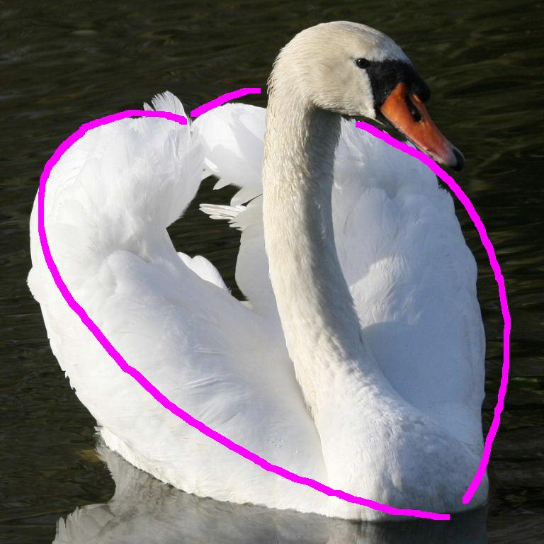Swan heart