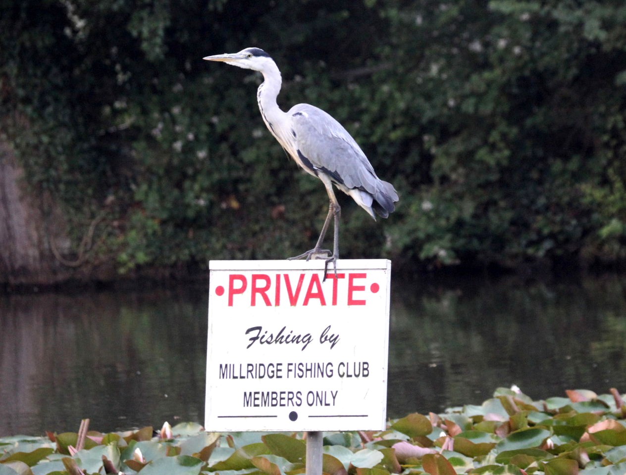 No fishing