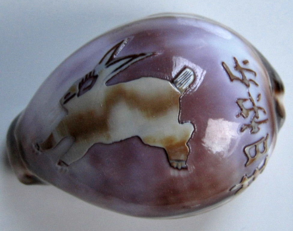 Year of the Rabbit
