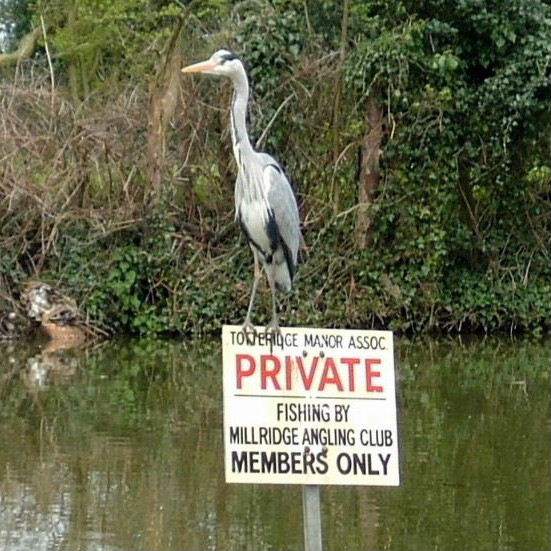 No fishing