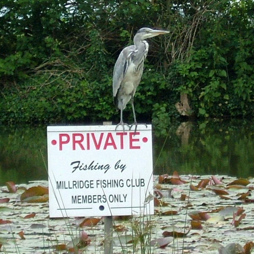 No fishing
