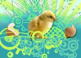 Easter chick