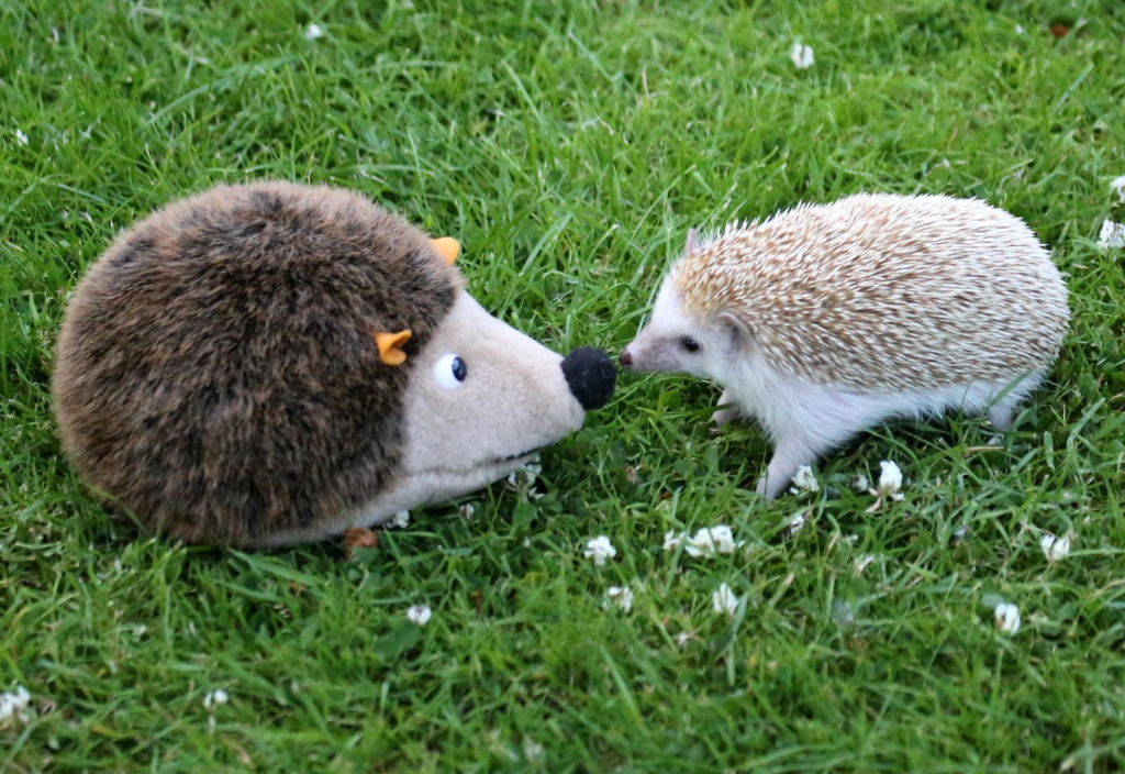 Groundhog Day