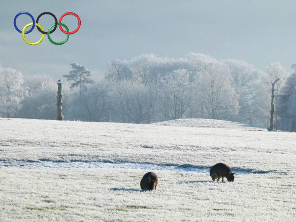 Winter Olympics