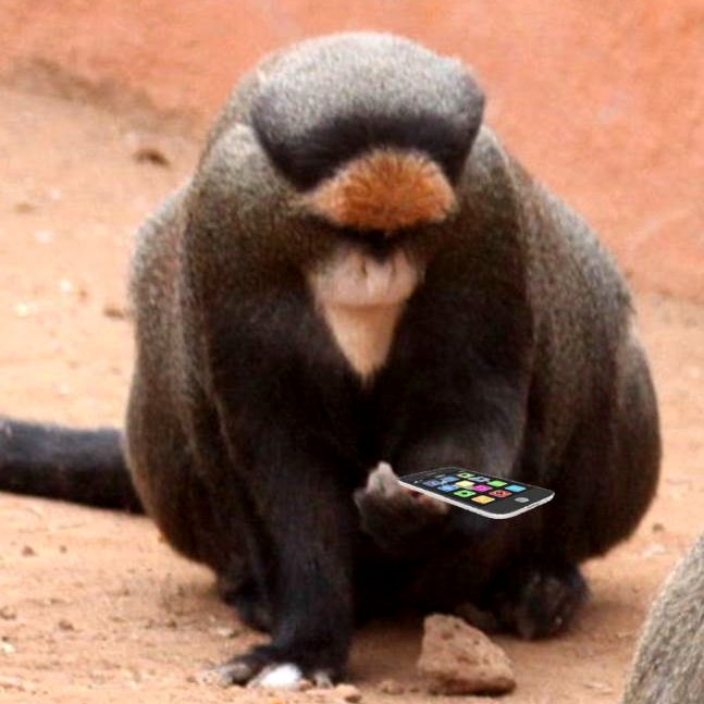 Ape with app