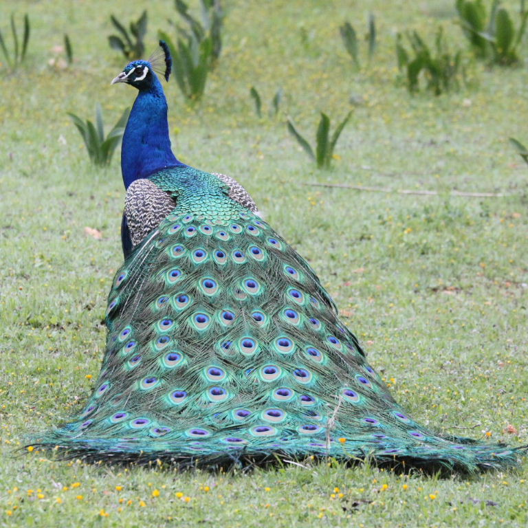 Does my bum look big in this?