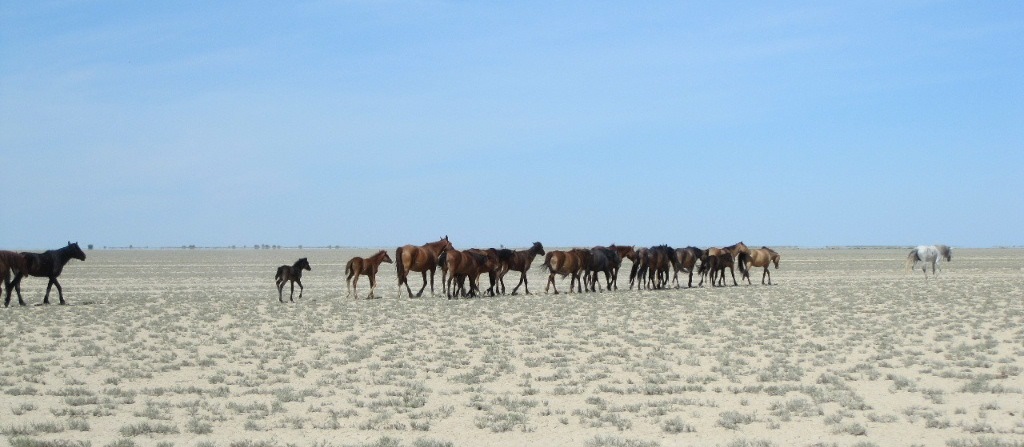 Year of the Horse ending