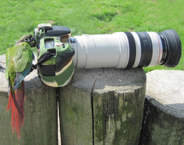 "Say cheese!"