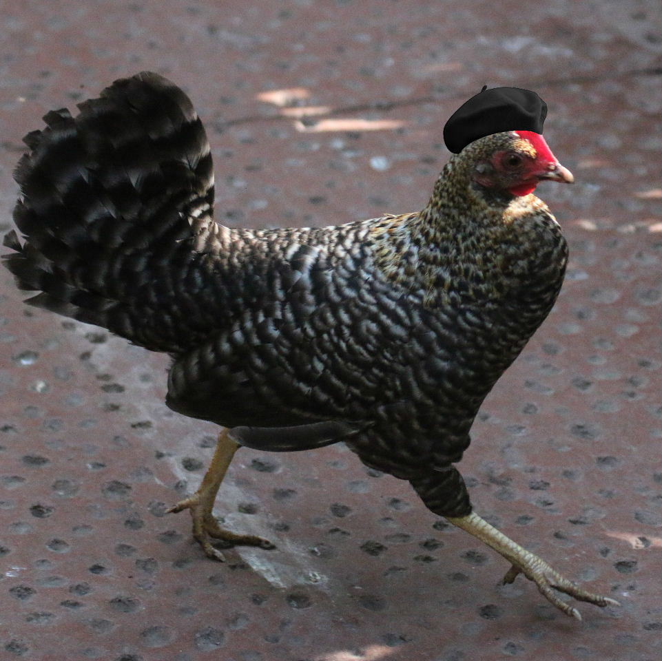French hen
