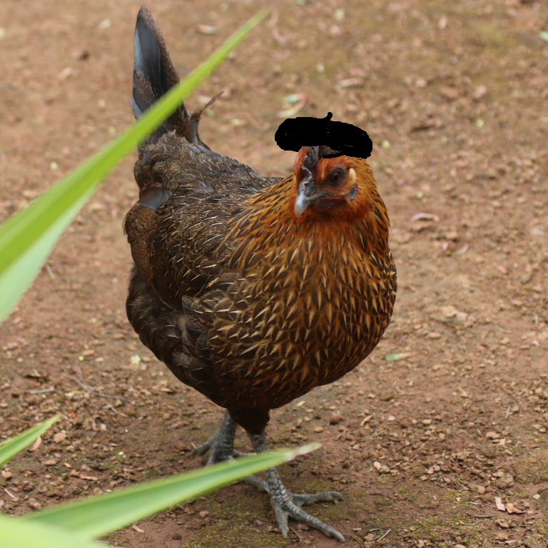 French hen