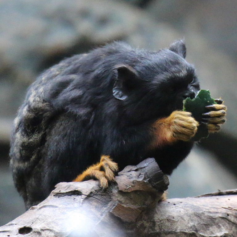 Caught red-handed reading a leaf out of my book