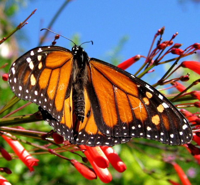 Last week's profile picture