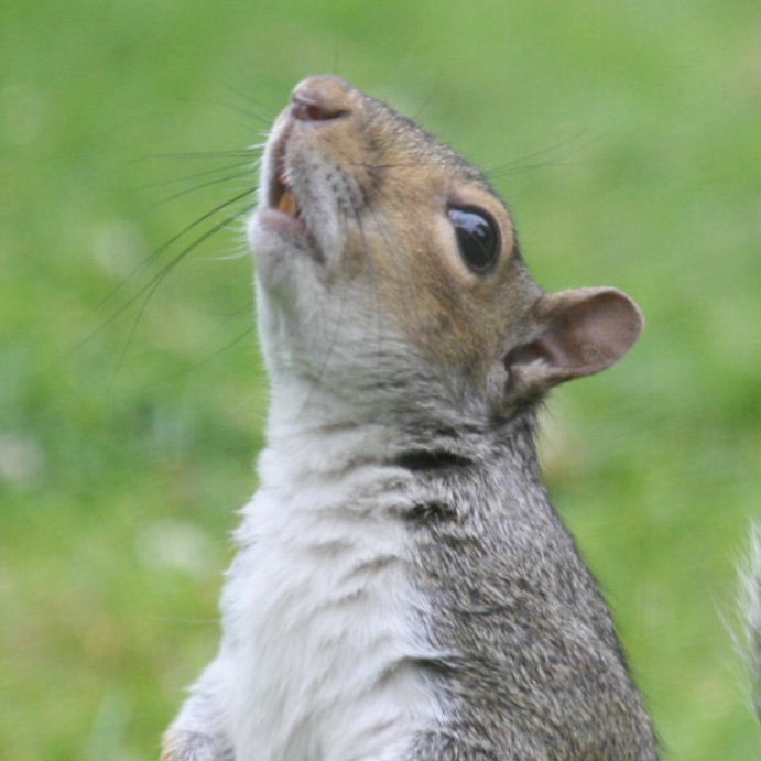 What's up? And how do I get there?