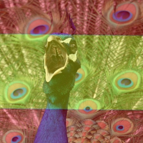 Crying for Barcelona