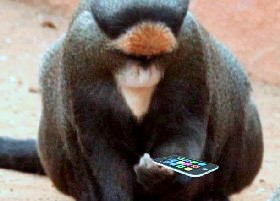 App