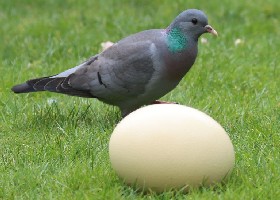 Easter