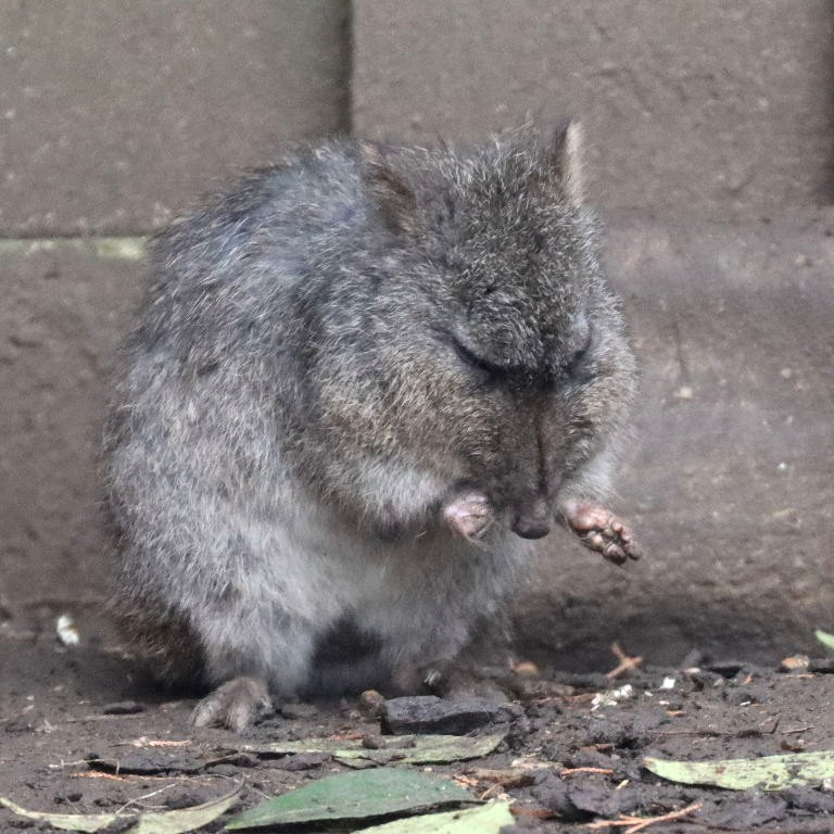 Mean and Calculating