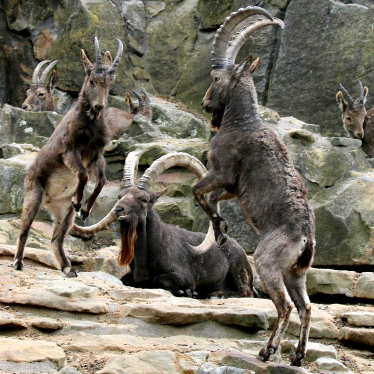 Generations bickering