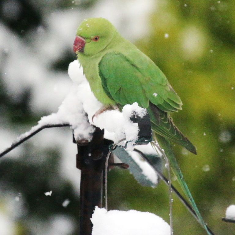 Wish I could go home