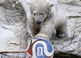 Football 2026