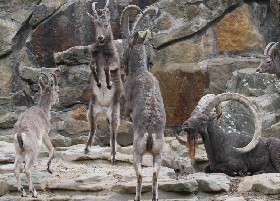 Generations bickering