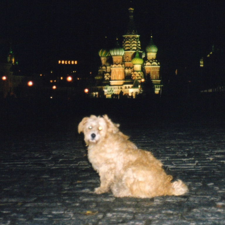 St Basil's Cathedral