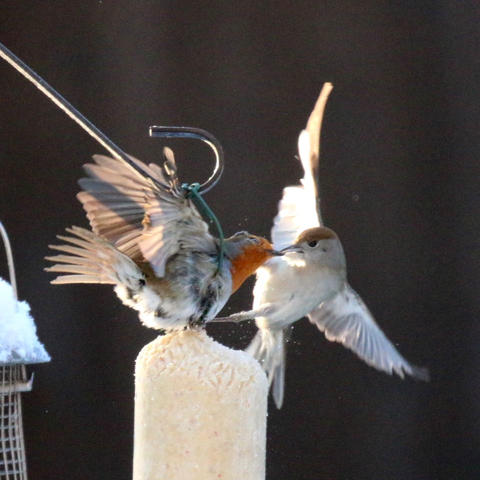 Get off my Twitter Feed