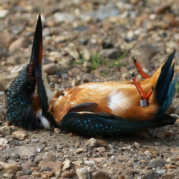 waiting for nails to dry