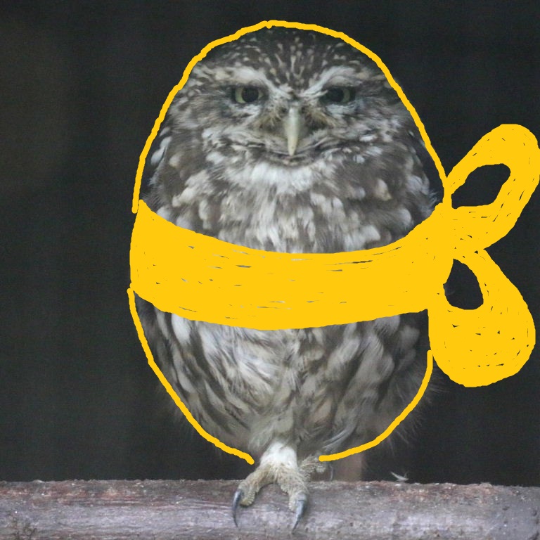 drop bears ready to launch