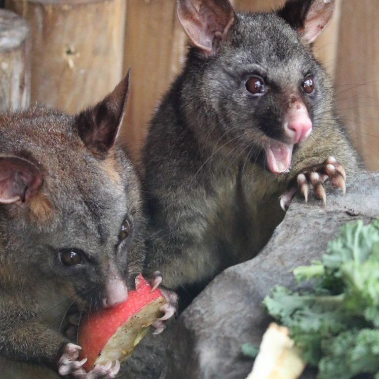 50 percent off Apple